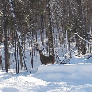 Meet your Posher, Gilles